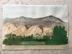 TOOBY BURTON YELLOWSTONE ARTIST WATERCOLOR PAINTING PALM DESERT CA MOUNTAINS
