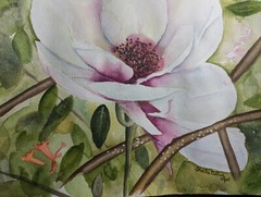 Original Magnolia Watercolor Painting