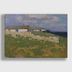 Oil painting Coast Ukrainian painter Canvas Decor Unframed original landscape