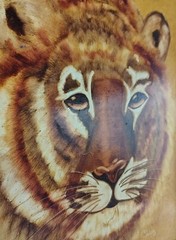 Vintage Tiger Portrait Painting SIGNED 1977 FRAMED Fiberboard