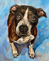Pet custom portrait by photo Original art oil painting cat dog animal Signed