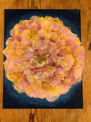 pressed flower art on canvas