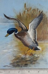 Original Acrylic Painting Landscape of a Drake on a Lake Small Wall Art 5 x 7 in