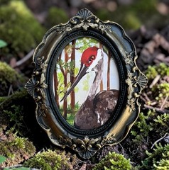 Sandhill Crane mini watercolor bird print • vintage style ornate frame