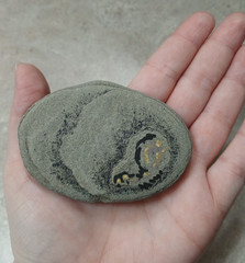 Pet Rock Hand Painted Rock Art Gag Gift Cat