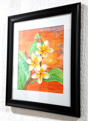 Tropical Plumeria original watercolor 10″x8″ in 13″x10″ matt & blk wooden frame