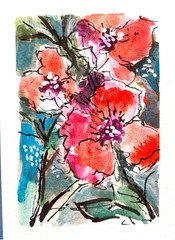 ACEO Original Poppies Painting ATC Collectible Heavy Watercolor Paper