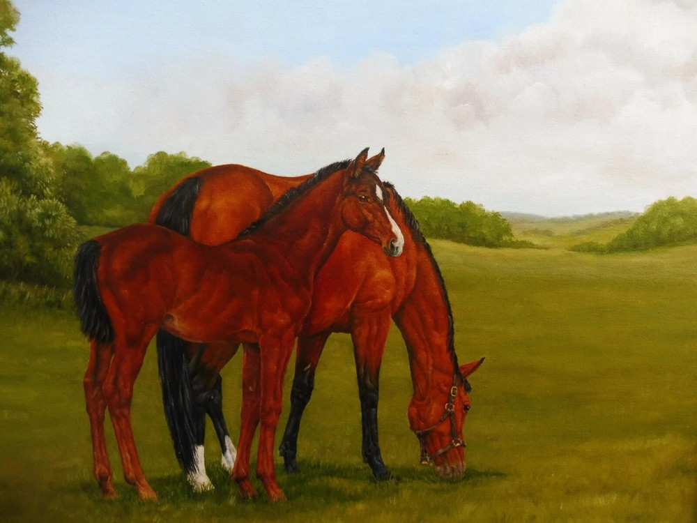 MQ838 Stretched Canvas Frame /Unframed Handmade Animals Horses Oil Painting Art