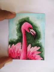 Flamingo Original ACEO Art Card Painting Miniature Ooak Acrylic sri lanka