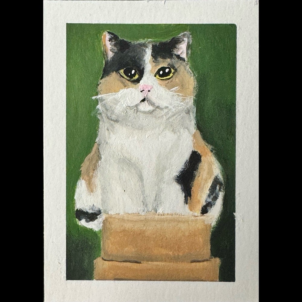 ACEO Original Acrylic 2.5×3.5 Chubby Calico Cat In A Small Box