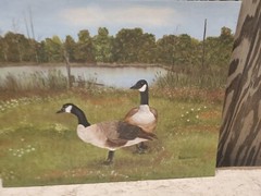Oil On Board Signed Robin Blackwell Geese Goose Pond Nature Trees 16×20 (H231)