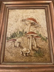 VTG 1970s 3D Textured Acrylic Portrait Painting MCM Mushroom Canvas Framed