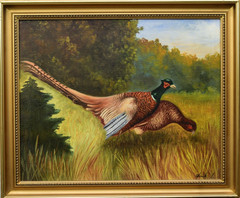 Original Pheasant Oil Painting on Canvas László Ofcsák Signed Framed Hunting Art