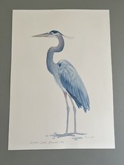 Watercolor Painting Crane Print 27/250 Signed 10” x 14” Unframed