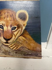 Vtg Lion Cub Portrait Original On Tree Bark Wall Art Decor Signed Wm. Stephan MD