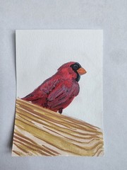 ACEO Original Acrylic Painting Small Cardinal Red Bird by Kiva