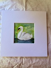 Swan Original Watercolor Painting White matted To 8×8” Standard Frame Size