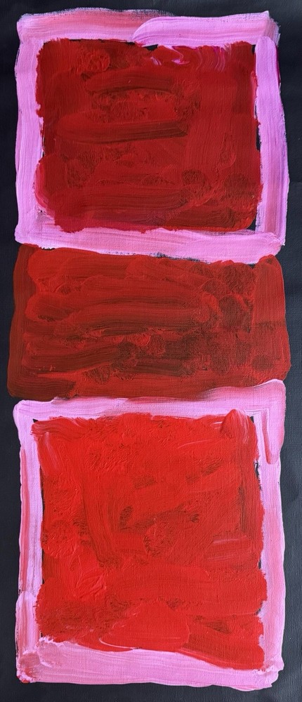 KUDDITJI KNGWARREYE, Highly Collectable Aboriginal Art,Incl Progress photos.