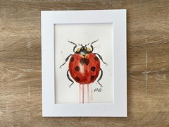 Lady Bug Watercolor Painting Original Signed 8×10 Matted