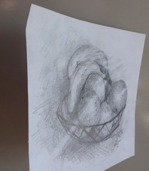 GERRY MILLER. “Still life, Fruit”. Pencil Drawing on Paper.18x16cm.