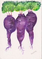 5×7 Purple Beets Original Watercolor Painting, Garden Vegetables