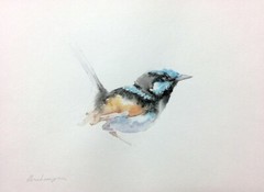 Fairy-wren, Watercolor artwork, Handmade, Original painting on paper