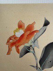 Vtg Japanese Woodblock Print Camellia Flower Blossom Art Red Seal Signed 10×14”