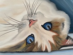 Original oil painting signed 11 x 14 in white cat blue eyes