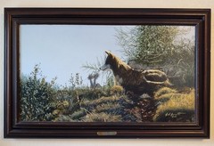 Original Acrylic Painting Of A Mexican Wolf Titled „El Lobo“ By Gary D. Garrett