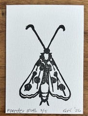 aceo original art by Emily Beck, Forester Moth 2/5, linocut insect art, 3.5×25″