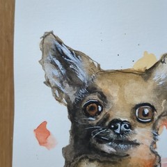 Original Watercolor Painting Cute Chihuahua Pet Portrait 9×6 by JJ