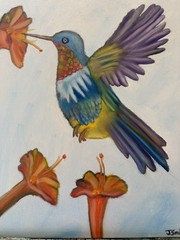 Original oil painting 11 x 14 inches gorgeous colorful hummingbird