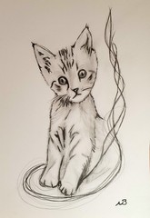 ORIGINAL PENCIL SKETCH 12×16 CUTE CAT ABSTRACT WALL ART HAND DRAWN ON PAPER