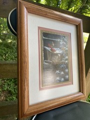 Cardinals Striped Sleeping Maine Coon Cat in Bird Feeder Picture9x11 Frame