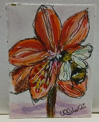 ACEO OOAK Series Bees Blooms in Watercolor Scribble Outline Style Amaryliss