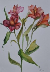 “Red Alstraemeria” Original watercolor painting Ukrainian artist