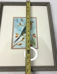 Original Watercolor Painting on Paper Bunting Bird in Frame & Signed