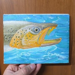 Trout Eating Fly Acrylic On Canvas 8 X 6 Flufishing Bull Trout Brown Trout