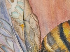 Outsider Folk Art original Color Pencil Bumble Bee with Pastel Interior Design