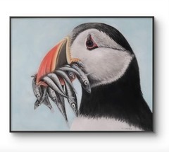 Original Puffin Bird 14 x 11 Pastel Paper Matted Art