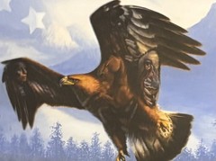 David Kaskaske Original Watercolor “Wings Of Freedom” Vintage 1990