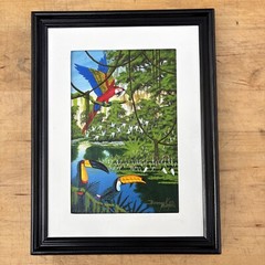 Denmark Brasil, Macaw Birds Original oil painting 1989 Signed