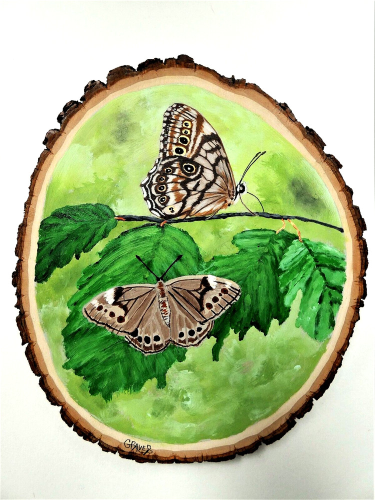 Hand Painted Northern Pearly-Eye Butterfly On Live Edge Basswood By Phyllis