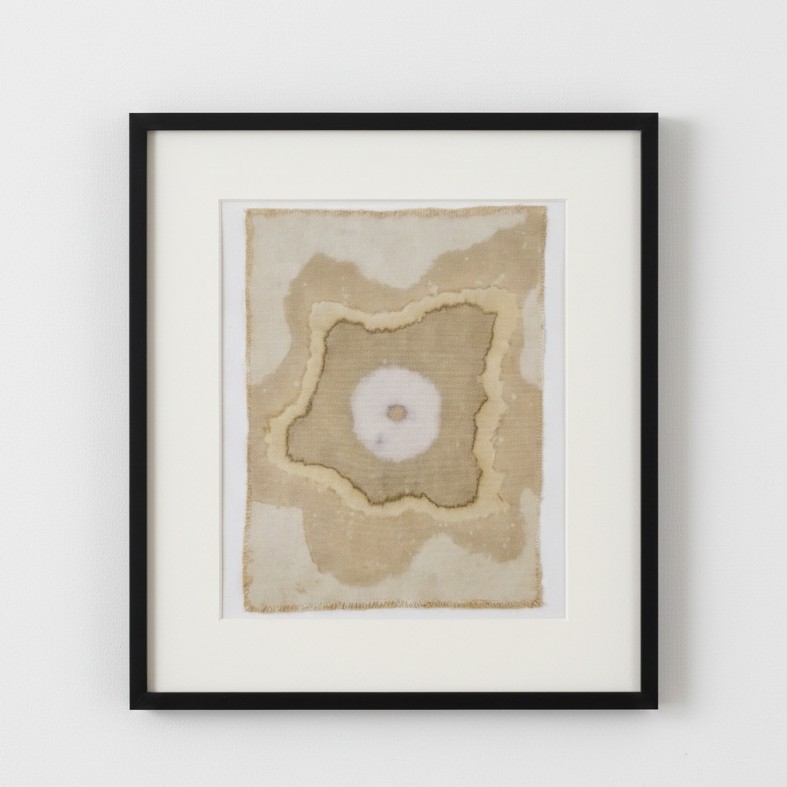 CENTRAL ENERGY (16) – Plant-Dyed Botanical Art on Cotton Canvas
