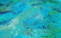 One-of-a-Kind Green ColorField Luxury Textured Abstract Canvas Art 59×30 in