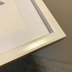 Used Hobby Lobby Green and White Flower Succulent Art Framed Wall-Mounting Decor