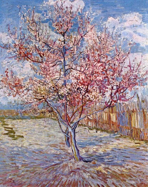 Oil painting vincent van gogh – spring landscape & pink flowers tree Netherlands