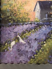 Metal Gallery Wall Lavender Field Art Print Roxanne Spradlin