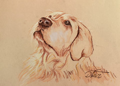 dog animals Impressionism Pastel Painting Drawing Dorothy Laz Vine dr42