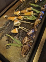 Original 3D Woodland Mushroom Wall Art Mixed Media Log Sculpture Signed…